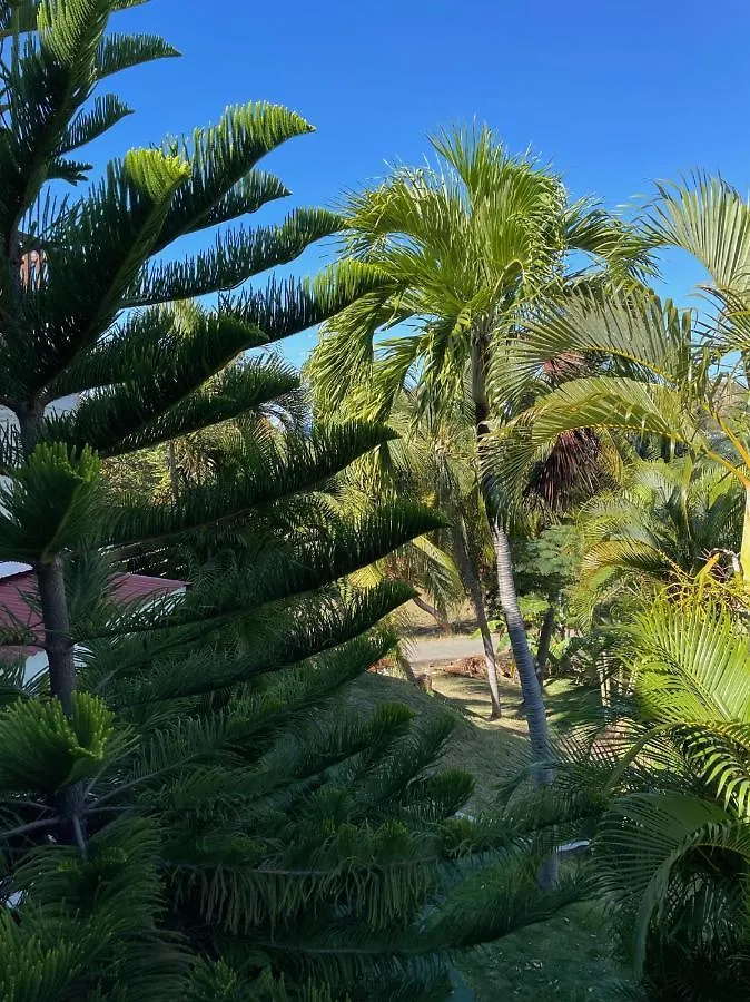 Jardin Sur Mer تير-دي-هوت غوادلوب
