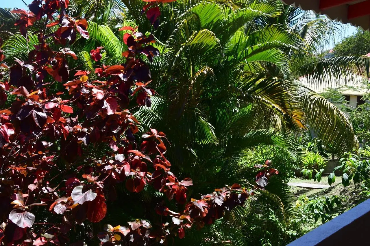 Jardin Sur Mer تير-دي-هوت غوادلوب