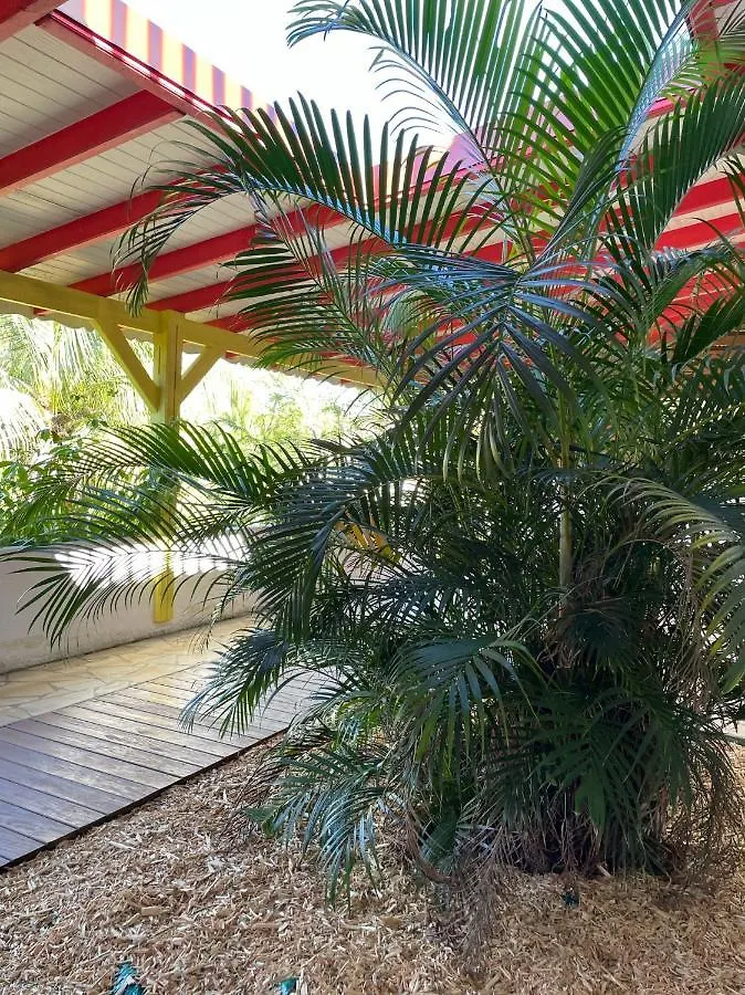 Jardin Sur Mer Terre-De-Haut 0*,  Guadeloupe