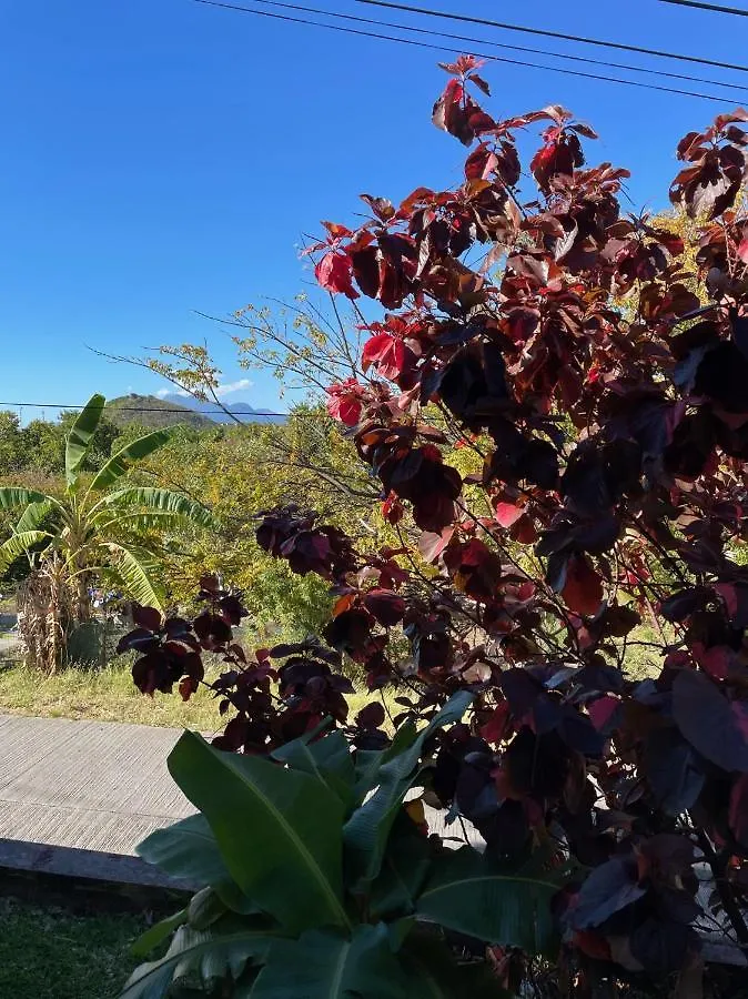 Jardin Sur Mer Terre-De-Haut Apartment