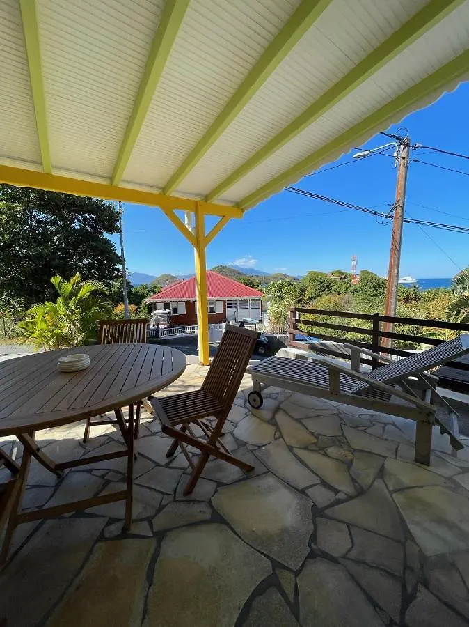 Jardin Sur Mer Terre-De-Haut Guadeloupe